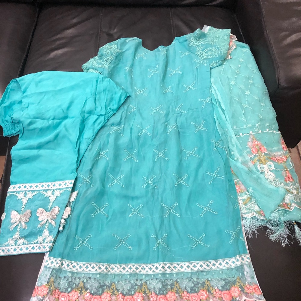 Indian Pakistani Dress - Picture 5 of 6